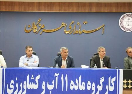 بررسی چالش‌ها و ارائه راهکارهای مدیریت آب کشاورزی در نخستین جلسه کارگروه ماده ۱۱ هرمزگان