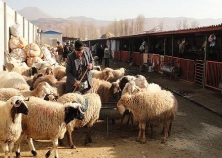 توصیه‌های بهداشتی دانشگاه علوم پزشکی هرمزگان برای عید قربان