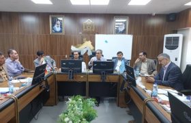 دانشگاه علوم پزشکی هرمزگان روند واگذاری خدمات سلامت را بررسی و تصویب کرد