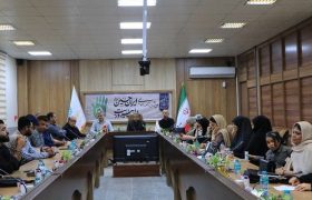 شاعران و هنرمندان نقش موثری در همبستگی و  و اتحاد ملی در جنگ تحمیلی رژیم اشغالگر داشتند